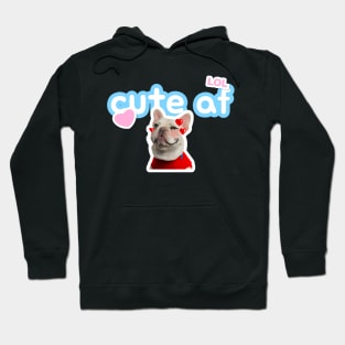 Cute funny dog meme Hoodie